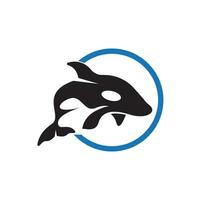 Orca Symbol und Symbol Vektor Vorlage Illustration