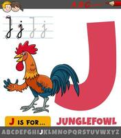 brev j från alfabet med tecknad serie junglefowl fågel karaktär vektor