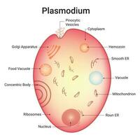 Plasmoium Wissenschaft Design Vektor Illustration