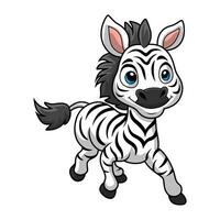 niedlicher zebra-cartoon auf weißem hintergrund vektor