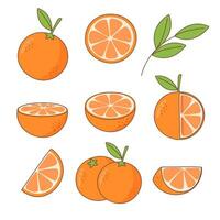 uppsättning apelsiner vektor