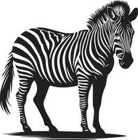 zebra djur- vektor silhuett 3