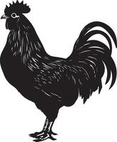 australorp Hähnchen Vektor Silhouette Illustration schwarz Farbe 17