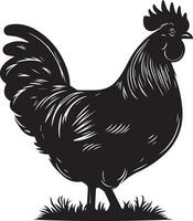 australorp Hähnchen Vektor Silhouette Illustration schwarz Farbe