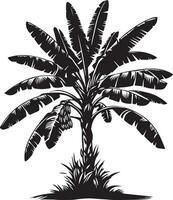 banan träd vektor silhuett illustration svart Färg 4
