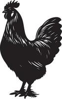 australorp Hähnchen Vektor Silhouette Illustration schwarz Farbe