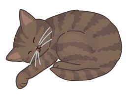 tecknad serie ClipArt av söt sovande katt. klotter av inhemsk djur- kattunge sällskapsdjur. vektor illustration isolerat på vit.