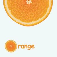 voll Glas Orange vektor