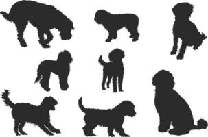 Labradoodle Silhouette, Labradoodle Hund Silhouette, Labradoodle Clip Art, Labradoodle Symbol, Hund Silhouette vektor