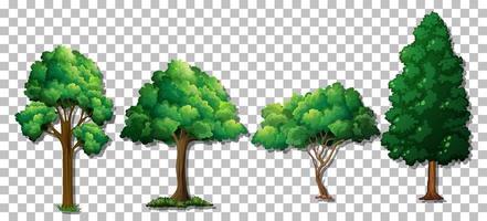 Reihe von verschiedenen Bäumen vektor
