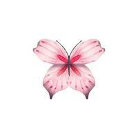 Hand gezeichnet abstrakt Schmetterling im Rosa Töne. Aquarell vektor