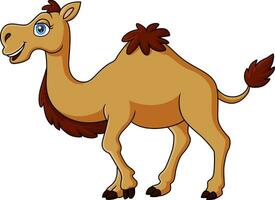 süßer Kamel-Cartoon auf weißem Hintergrund vektor