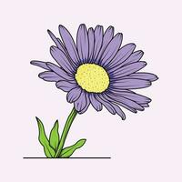 aster blomma de illustration vektor