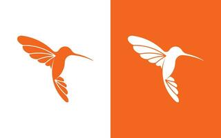 Hummingbird logotyp design vektor
