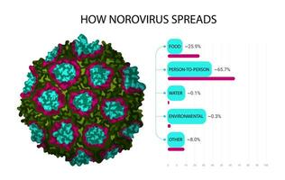 Norovirus Getriebe medizinisch Infografik. Vektor Illustration isoliert auf Weiß Hintergrund