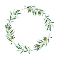 Aquarell Olive Kranz mit Grün Oliven. Hand gezeichnet botanisch Illustration. können Sein benutzt zum Karten, Emblem, Logos und Essen Design. vektor