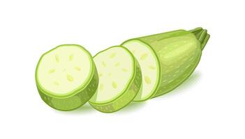 Gemüse Zucchini. Schnitt Scheiben. Vektor Illustration auf Weiß Hintergrund