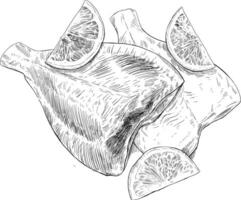 citron- filea fisk maträtt skiss illustration vektor