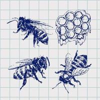 Hand gezeichnete Bienenskizze schwarze Honigvektorillustration vektor