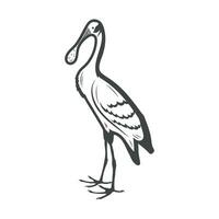 spoonbill fågel retro stil stock vektor illustration