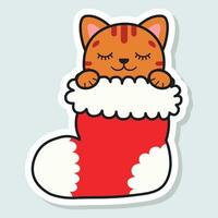 söt katt i en jul strumpa. Lycklig högtider. vinter- djur. vektor illustration.