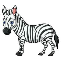tecknad rolig zebra på vit bakgrund vektor