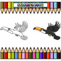 tecknad serie toucan flygande för färg bok vektor