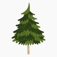 ein süß einfach Weihnachten Baum, Fichte, Kiefer, Nadelbaum ohne Dekoration, eben Vektor Illustration isoliert auf Weiß Hintergrund. fröhlich Weihnachten und glücklich Neu Jahr.