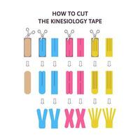 på vilket sätt till skära de kinesiologi tejp. terapeutisk tejp skärande schema. eps 10 vektor illustration isolerat på de vit bakgrund