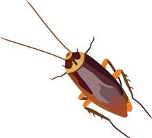 Kakerlake Insekt Tier Vektor-Illustration vektor