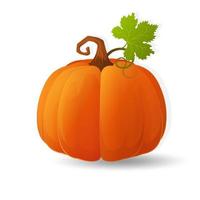 Halloween gruselig orange Kürbis Urlaub Cartoon Konzept vektor