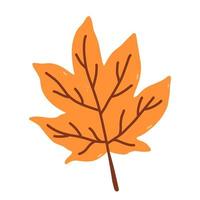 Herbst orange Blatt isoliert auf weißem Hintergrund vektor