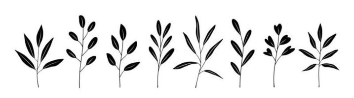 botanisches Set aus schwarzen Silhouettenzweigen mit Blättern