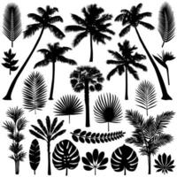 Palmen- und tropische Pflanzensilhouette-Set vektor