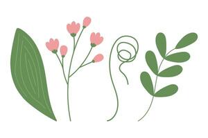 einstellen von 4 botanisch Design Elemente mit Spathiphyllum Blatt, blühen und zusammengerollt Zweige und Akazie Blatt vektor