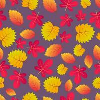 Herbst nahtlos Hintergrund mit bunt Blätter. Design zum fallen Jahreszeit Poster, Verpackung Papiere und Ferien Dekorationen. Vektor Illustration