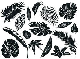 tropisk löv silhuett. handflatan träd blad, kokos träd och monstera leafs svart silhuetter vektor illustration uppsättning