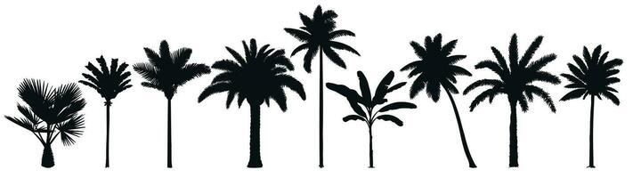 Palme Bäume Silhouette. retro Kokosnuss Bäume, Hand gezeichnet tropisch Palme Silhouetten Vektor einstellen