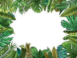 Grün tropisch Blätter rahmen. Natur Blatt Grenze, Sommer- Ferien und Urwald Pflanzen. Monstera und exotisch Palme Baum Blätter Vektor Illustration