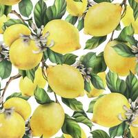 Zitronen sind Gelb, saftig, reif mit Grün Blätter, Blume Knospen auf das Geäst, ganze und Scheiben. Aquarell, Hand gezeichnet botanisch Illustration. nahtlos Muster auf ein Weiß Hintergrund vektor