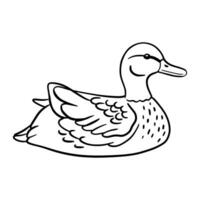 Ente ist Baden. Vektor Linie Illustration Teich Vogel isoliert auf Weiß Hintergrund.