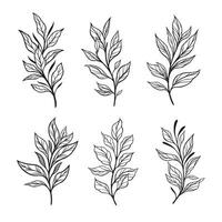 modisch botanisch Elemente, Hand gezeichnet Linie Blätter Geäst und Blühen vektor