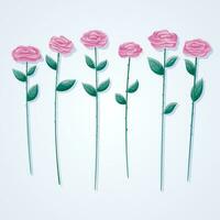 einstellen von isoliert Vektor Rosa Rose Blumen