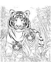 Tiger Mama und Baby Jagd Urwald Färbung Seite vektor