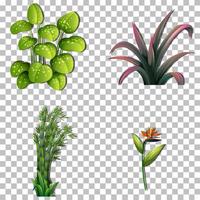 Reihe von Sorten Pflanzen vektor