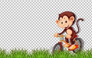 Affe, der Fahrrad auf transparentem Hintergrund fährt vektor