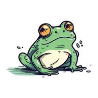 Frosch. Vektor Illustration. isoliert auf ein Weiß Hintergrund.