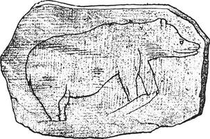 Zeichnung von großartig Bären auf ein Stein gesammelt im das Höhle von Massat, Jahrgang Gravur. vektor