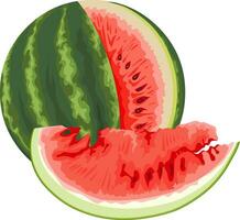 vektor av vattenmelon.