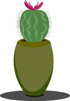 Kaktus im das Blühen Bühne Vektor Illustration